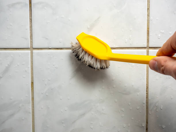 Best Local Mold Removal Service  in Portsmouth, VA