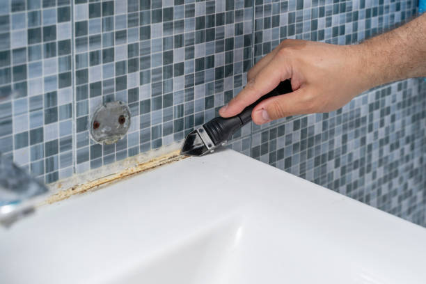 Certified Mold Removal in Portsmouth, VA