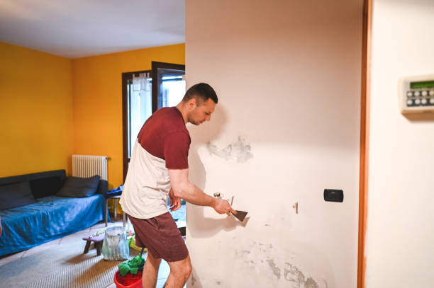 Best Home Mold Removal  in Portsmouth, VA